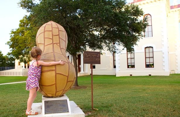 Peanut on courthouse lawn in Floresville