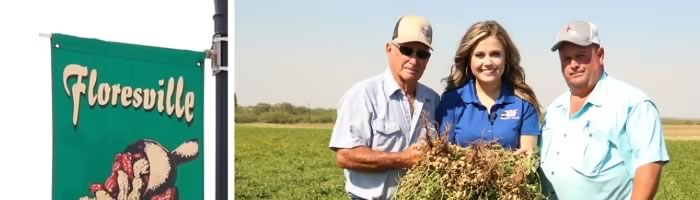 Residents Gear Up for Floresville Peanut Festival